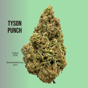 Seaweed Flower: 1/2 & Oz Specials