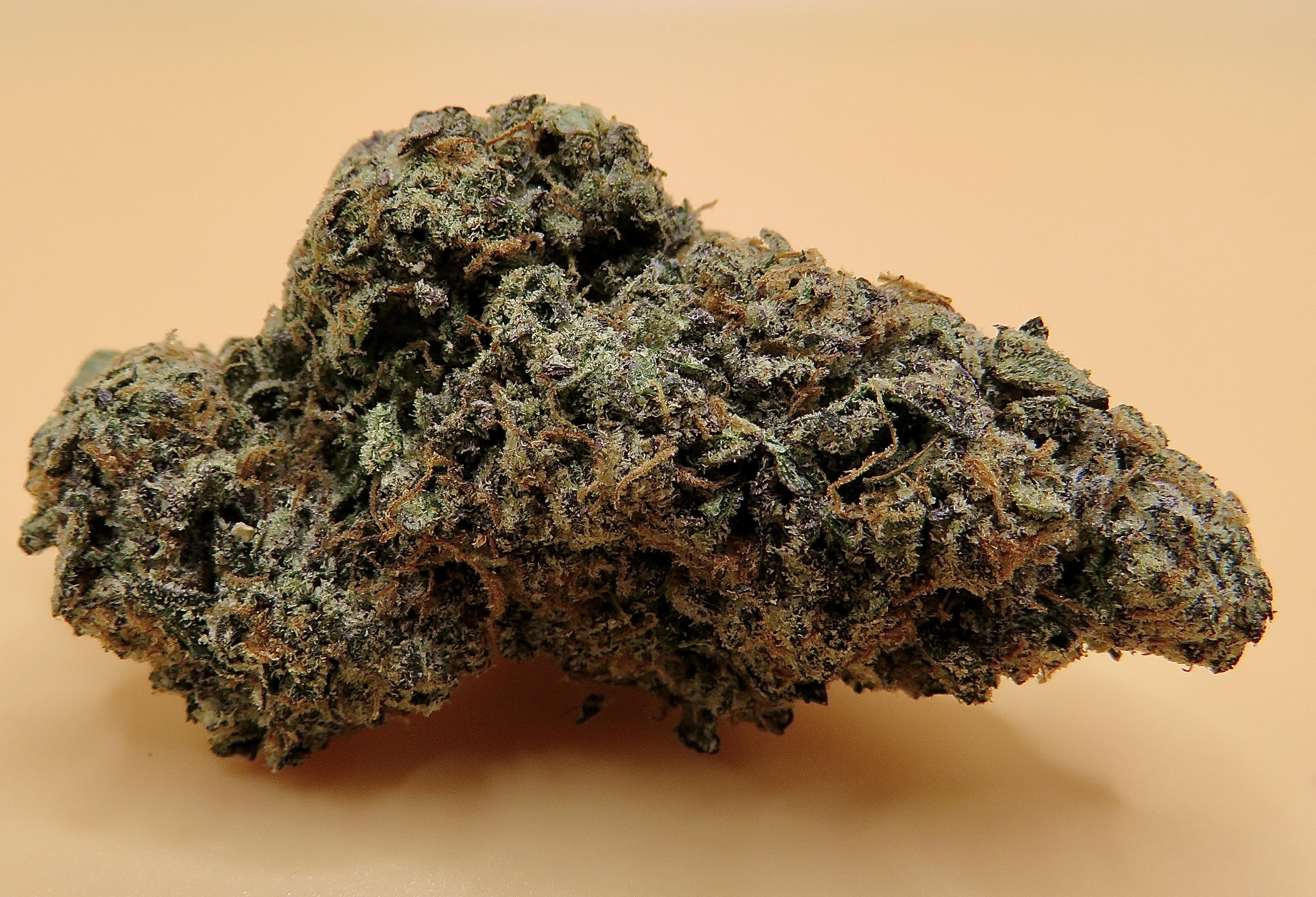 Dosi Kush Mintz Exotic Weed Strain San Diego SeaweedDelivery