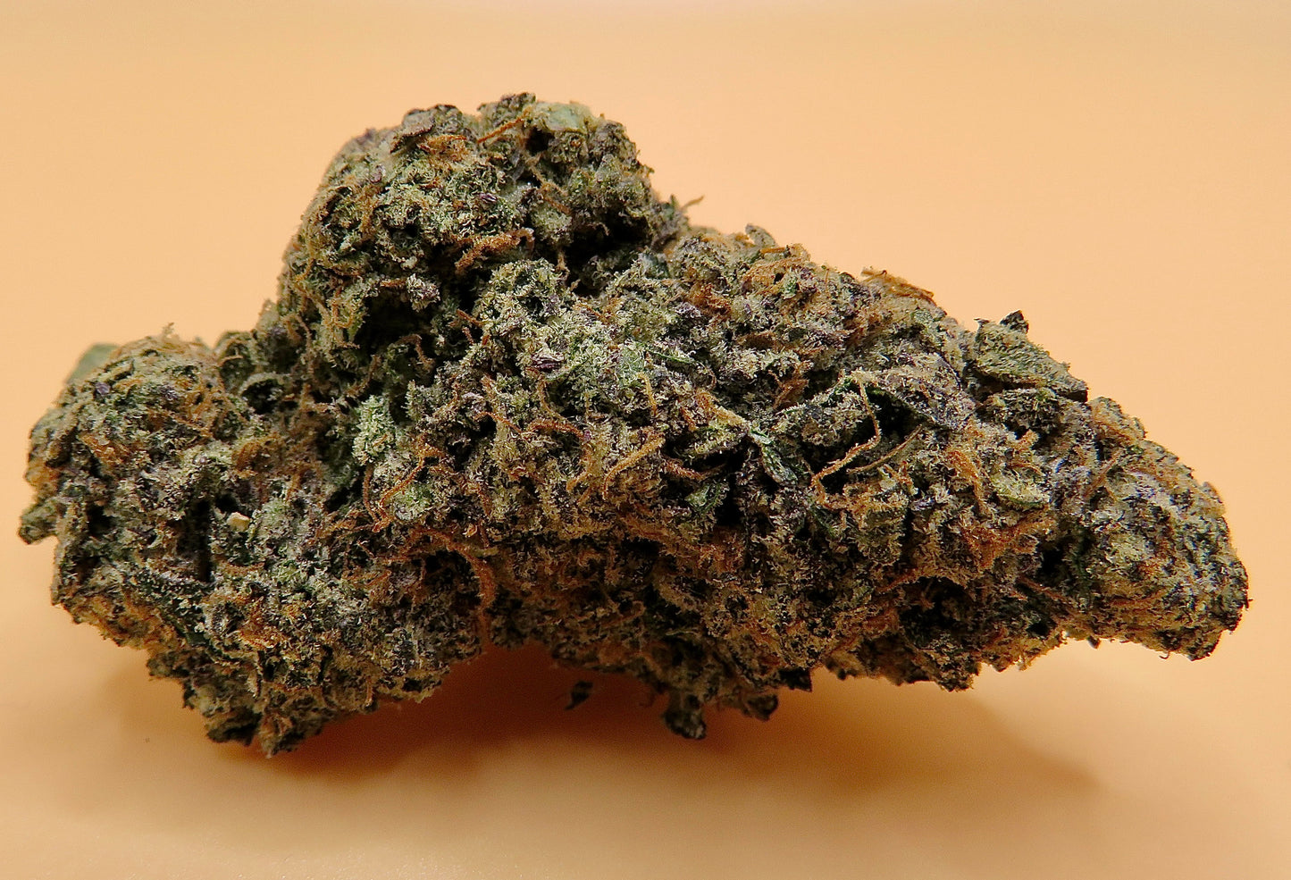 Dosi Kush Mintz (Exotic)