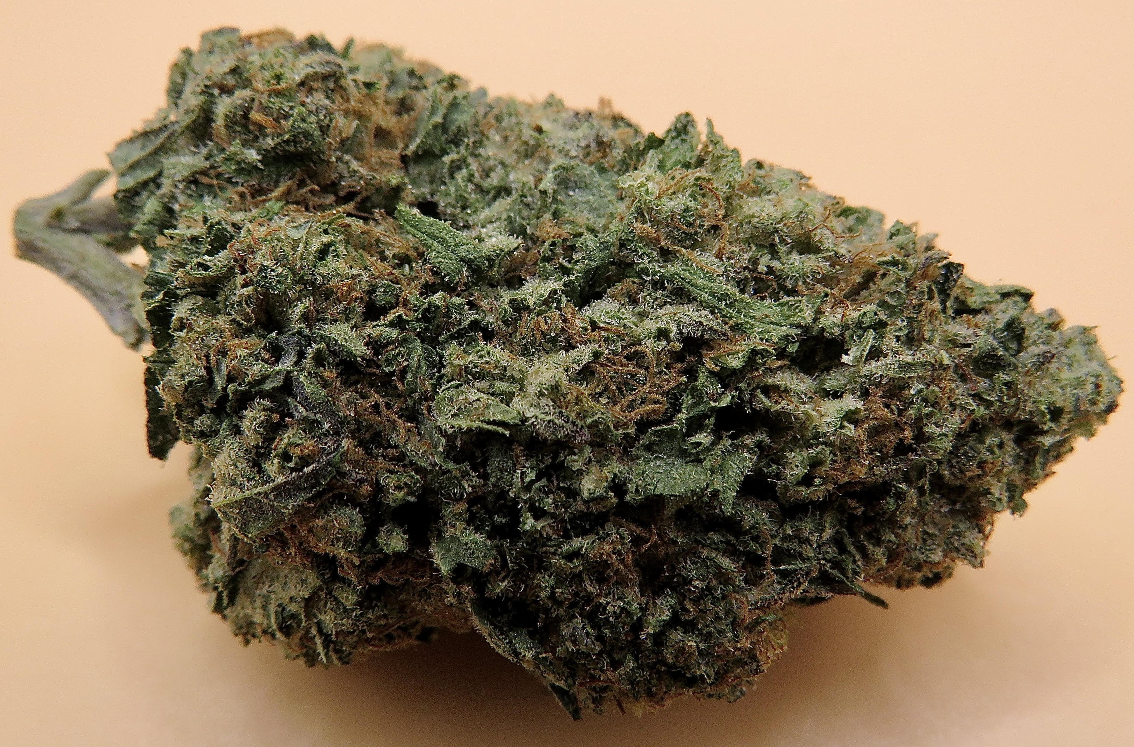 Grape Soda Weed Strain SeaweedDelivery