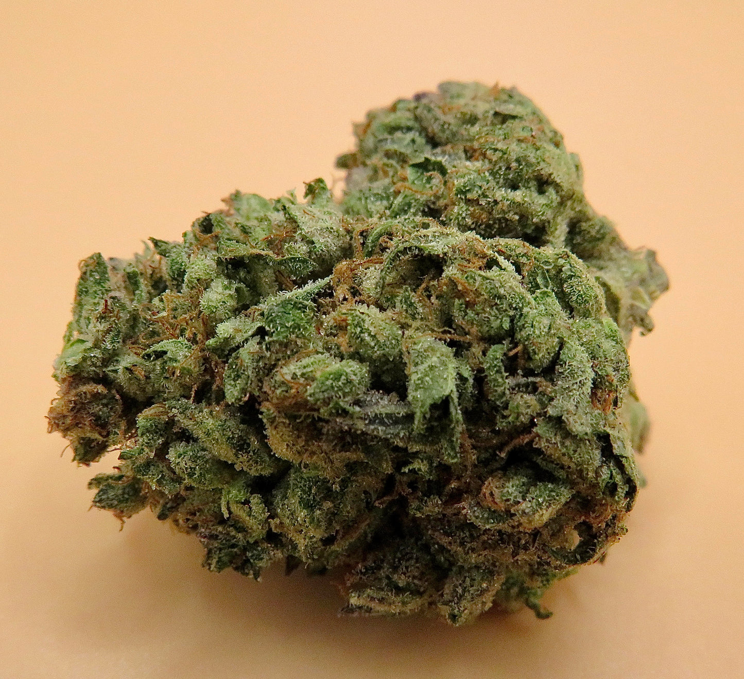 Jet Fuel