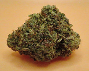 Mendo Breath