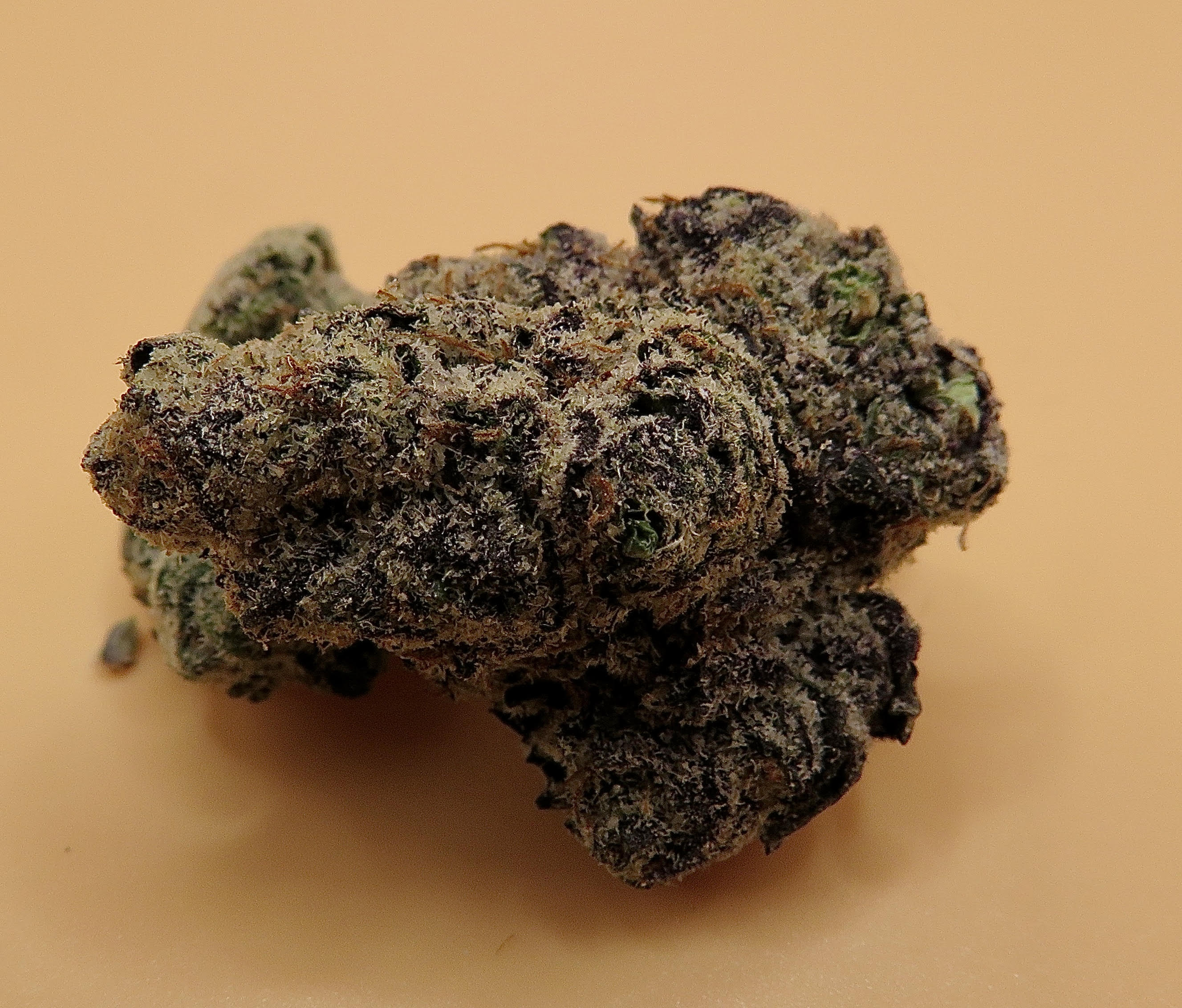 King Of Budz Dispensary Michigan - m5lyw0b