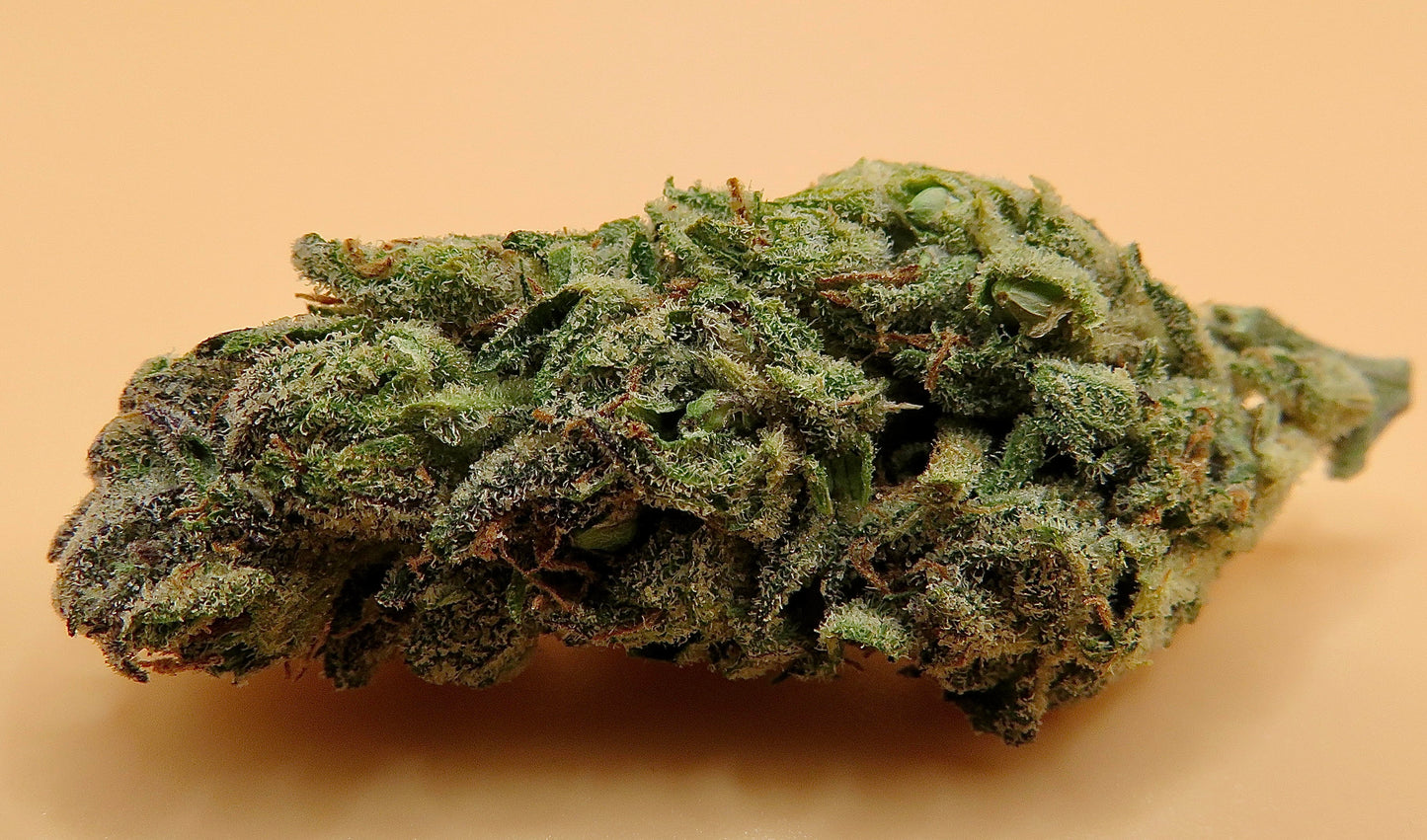 Raspberry Kush