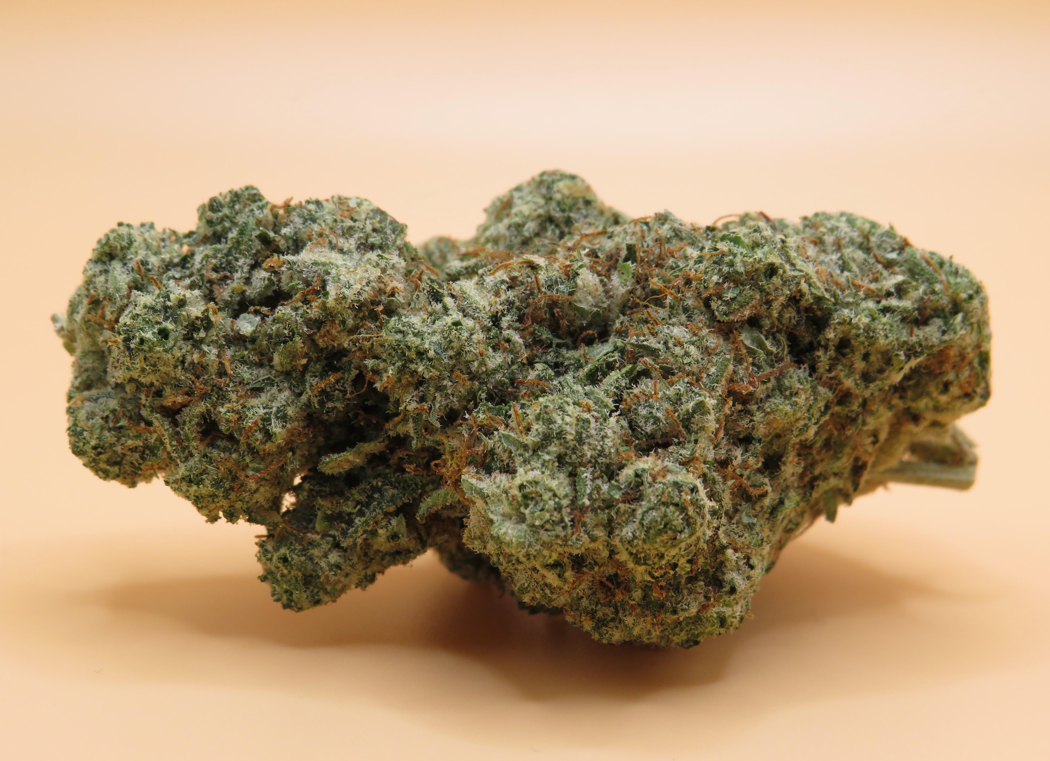 True OG: A Potent Indica Weed Strain - SeaweedDelivery