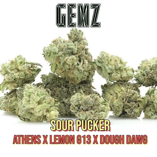 GEMZ Premium Exotic Indoor Smalls (Tax Included)