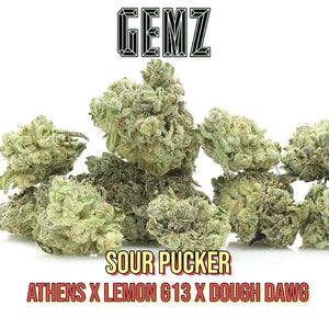 GEMZ Premium Exotic Indoor Smalls (Tax Included)