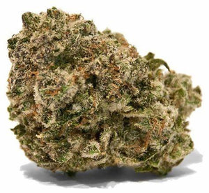 Up North Indoor Exotic Flower (Tax Included)